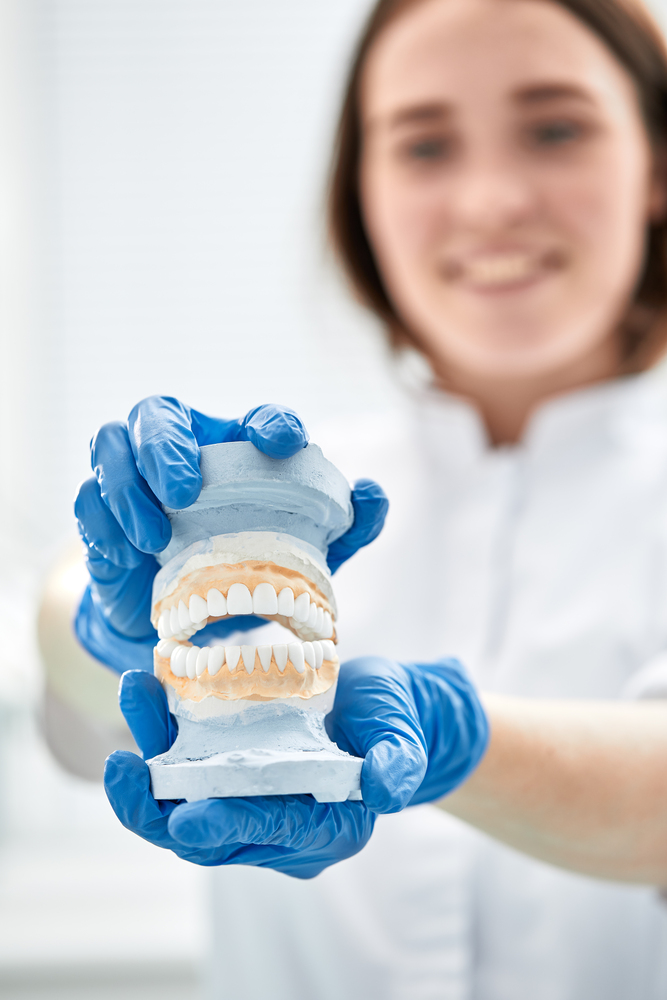 A dentist girl holds a model of a jaw in her hand