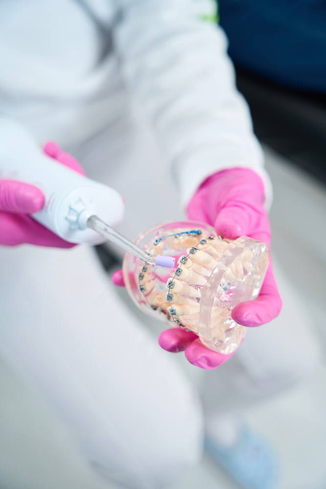 Dentist holds implant denture model Dentist holds implant denture model